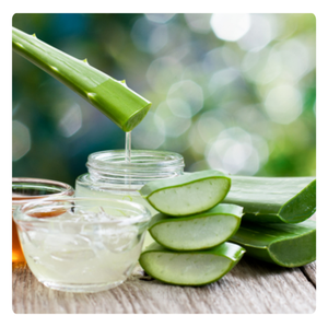 PRODUIT TENDANT | Gelée d'aloe vera à usage culinaire | Pure et naturelle | Idéal pour manger et boire - Product Image 6