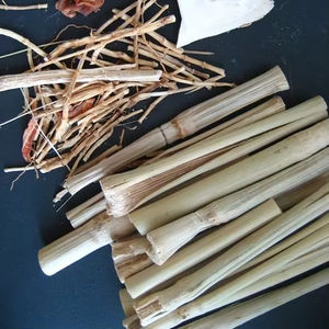 Palitos de Caña de Azúcar Secos Naturales Premium | Exportación a granel de golosinas masticables para mascotas desde Vietnam - Product Image 1