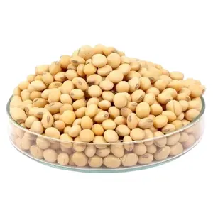 Soybean Seed Available For Export