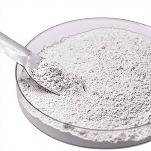 Poudre de Carbonate de Calcium Super Fine 2930 Mesh, Pureté >98%, Qualité Industrielle, Fourniture Directe Usine pour Peinture, Papier et Construction - Product Image 3