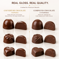 Machine à chocolat automatique compacte de 8 kg pour la fonte et l'enrobage du beurre de cacao, idéale pour les professionnels
