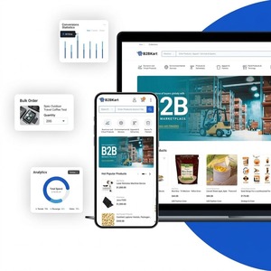 Servicios Integrales de Creación de Tiendas Online B2B, Desarrollo de Plataformas Modernas de Comercio Electrónico Mayorista para un Alto Crecimiento de Ventas - Product Image 1