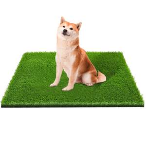 Tapis en gazon artificiel confortable TH-PAG-601 pour chien, idéal pour une zone d'entraînement hygiénique, parfait pour les petites maisons et les espaces extérieurs limités - Product Image 1