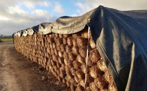 Lona de Protección Impermeable y Resistente a los Rayos UV para Exteriores, para Construcción, Agricultura y Almacenamiento - Product Image 2