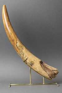 Traditional Viking Drinking Horn Authentic Rustic Mug Medieval Warrior Handmade Goblet Carved Natural Norse Mead Vessel <b>Raw</b> Love - Product Image 2