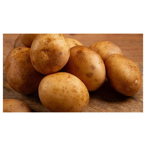 Proveedor Mayorista de Patatas Frescas de Primera Calidad para Importadores - Product Image 3