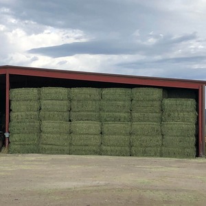 Heno Seco de Alta Calidad para Alimentación de Ganado, Heno de Timothy 100% en Pacas Comprimidas con Bajo Contenido de Humedad y Fibra Verde Limpia, Listo para Usar - Product Image 2