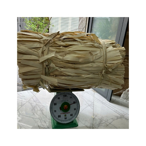 Feuille de palmier BLUE LOTUS Sabrina Vietnam Corypha Lecomtei, écologique, pour intérieur/extérieur, haute qualité, vente en gros - Product Image 4