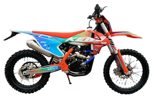 Motocicleta Todoterreno NUEVA DE FABRICACIÓN RECIENTE, 250cc, Motor Eléctrico de 1001-2000W, Nueva, Lista para Enviar - Product Image 3