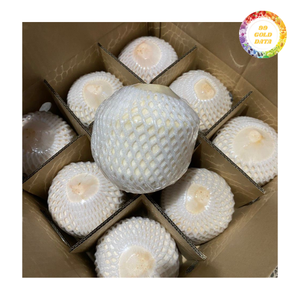 High Quality <b>Fresh</b> Young <b>Coconut</b> Whole Green <b>Coconut</b> for Juice Use Wholesale and Global Shipment - Product Image 2