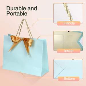 Bolsa de Papel de Lujo con Asa de Listón Negro, 250 GSM, para Regalos y Ropa - Product Image 1