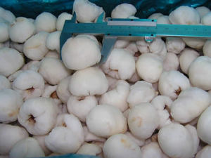 Exportateur de litchi congelé/litchi IQF du Vietnam/Mme Selina - Product Image 2