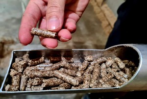 Granulés de bois écologiques en forme de bâton 8-9mm-Fournisseur du Vietnam, taille cohérente et haute efficacité thermique - Product Image 5