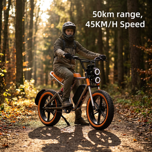 Diseño único de 500w <span class=keywords><strong>Bicicleta</strong></span> eléctrica de cercanías de 20 pulgadas neumáticos gordos de 48v suministro de energía de batería - Product Image 1