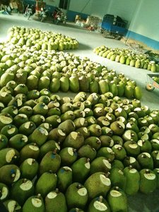 สินค้าขายดี - ขนุนแช่แข็งเกรดพรีเมียมสำหรับส่งออก - Product Image 2