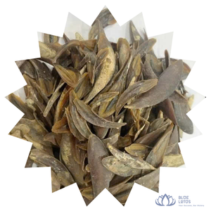 [MEJOR CALIFICADO] |   Operculum de Murex, Concha Marina Seca, Ingrediente para Incienso Aromático, Perfumería, Venta al por Mayor, Vietnam - Product Image 1
