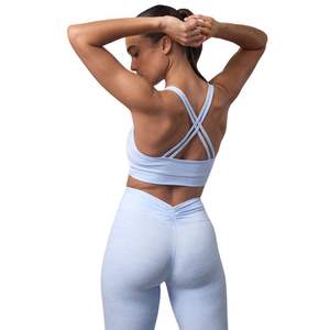 Top Deportivo Azul Claro para Mujer con Logotipo Personalizado, Cuello en V Fruncido, Sin Costuras, para Entrenamiento, Conjunto de Gimnasio, Ropa Deportiva al por Mayor - Product Image 2