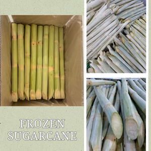 Caña de azúcar congelada, piezas cortadas naturales para tiendas de batidos, cadenas de bebidas y empresas comerciales de exportación de Vietnam - Product Image 2