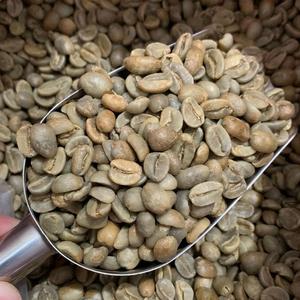เมล็ดกาแฟดิบออร์แกนิกสำหรับส่งออก - Product Image 1