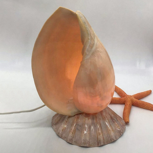 Modern coastal natural seashell table lamp various sizes sea <b>shell</b> <b>lighting</b> lamp best price - Product Image 4
