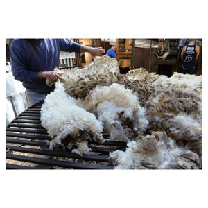 Laine de mouton en vrac pour tapis faits main, feutres et artisanat – Matière naturelle douce – Exportateur en gros - Product Image 3