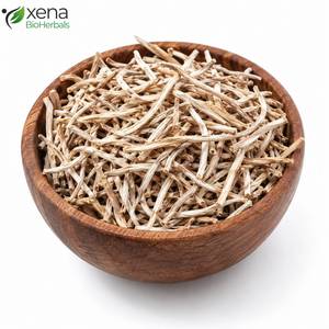 Fabricante Directo de Raíz Entera de Espárragos Adscendens, Materia Prima Herbal Premium OEM - Product Image 1