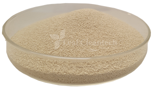 Levure sèche active la plus vendue de la plus haute qualité pour fournisseur de mélasse de Bangalore, Karnataka, Inde - Product Image 4