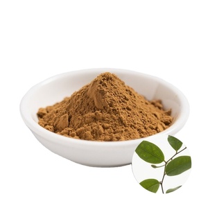Poudre de Gymnema Sylvestre 100% Naturelle, Qualité Alimentaire, Meilleure Vente OEM, Fournisseur en Gros d'Inde - Product Image 5