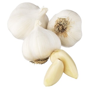Ail frais biologique de qualité supérieure en gros, avec une durée de conservation de 2 ans, emballé en sacs en filet et cartons pour une manipulation facile, service OEM/ODM - Product Image 2