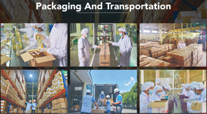 เจลปรับอากาศกลิ่นซิตรัส ปลอดภัยต่อสิ่งแวดล้อม กลิ่นหอมสดชื่นยาวนาน สำหรับบ้าน กำจัดกลิ่นไม่พึงประสงค์ อายุการเก็บรักษา 24 เดือน - Product Image 6