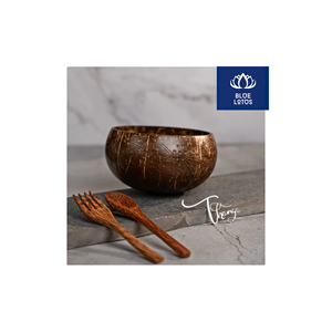 FAVORI DES CLIENTS : Bol en Coque de Noix de Coco Écologique, Sûr et Propre, 100% Végétal, Idéal pour Servir des Desserts et des Collations, Prix Compétitif - Product Image 1