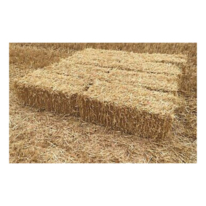 Paille et herbe à prix d'usine, offertes en grandes quantités aux acheteurs et distributeurs agricoles - Product Image 3