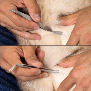 Pinzas para remover garrapatas de perros y gatos, de acero inoxidable de grado quirúrgico, herramientas para el cuidado de mascotas, 2 en 1, pinzas para remover garrapatas, gran venta. - Product Image 6
