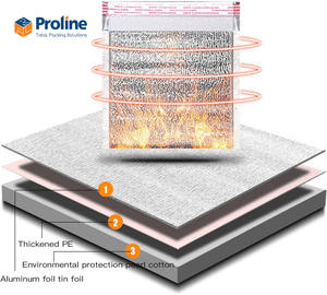 Bolsa Térmica para Entrega de Alimentos, Impermeable, Ecológica, Desechable, con Cierre de Cremallera, Material PE - Product Image 5