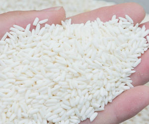 Riz Blanc Glutineux de Qualité Supérieure du Meilleur Fournisseur, 5% de Grains Cassés, Haute Qualité pour les Bienfaits pour la Santé, en Vrac, Prêt à Expédier - Product Image 2