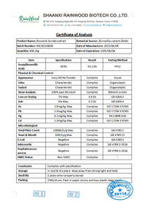 สารสกัดเรนวูด บอสเวลเลีย เซอร์ราตา 65% บอสเวลเลียแอซิด เกรดอาหาร สารสกัดบอสเวลเลีย เซอร์ราตา - Product Image 2