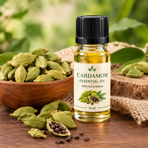 Manufacturers Wholesale <b>Diffuser</b> Aromatherapy Organic Natural 100% Pure Grade Cardamom Essential <b>Oil</b> Seeds <b>for</b> Aromatherpay <b>Oils</b> - Product Image 1