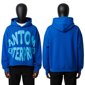 Sweat-shirt d'hiver pour homme 100% coton, broderie fleur de cerisier, sweat à capuche zippé, veste streetwear, OEM ODM disponible, haute qualité - Product Image 2