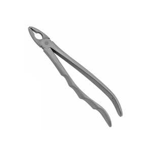 Forceps d'extraction dentaire en acier inoxydable - Product Image 5