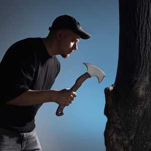 <b>Axe</b> Carbon Steel Head Wood <b>Handle</b> Survival Hatchet Tool - Product Image 2