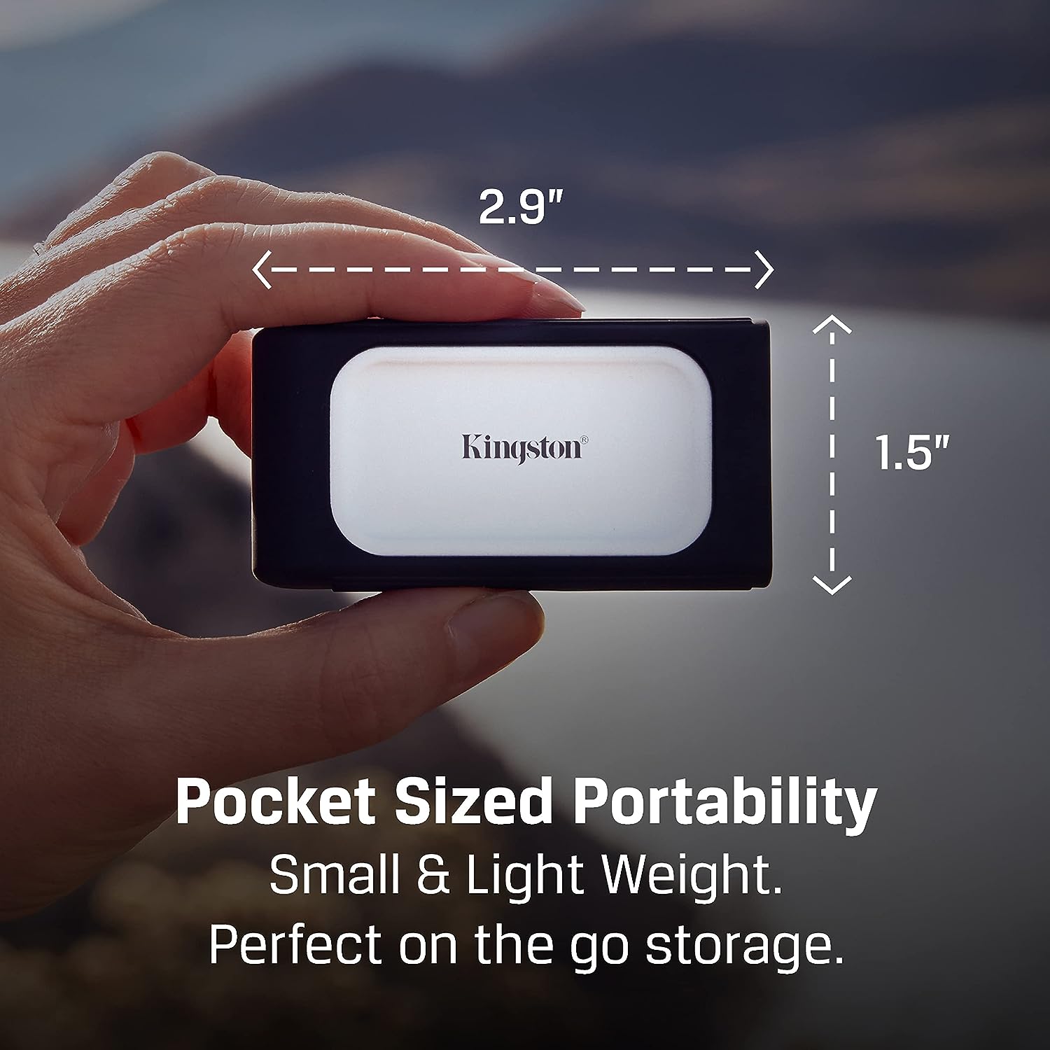 Kingston XS2000 2TB Portable SSD - High-Performance Storage