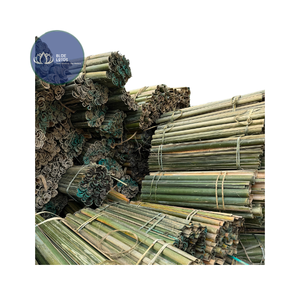 Postes de Bambú Ecológicos de Alta Calidad para Jardín, Soporte para Plantas, Bambú Azul Personalizable - Product Image 1