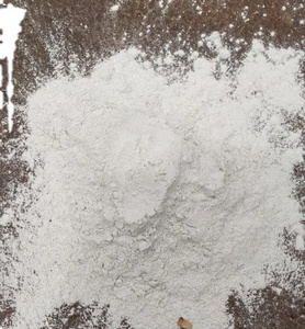 Carbonato de Calcio en Polvo de Vietnam para Extrusión de Compuestos Termoplásticos y Moldeo por Inyección - Product Image 4