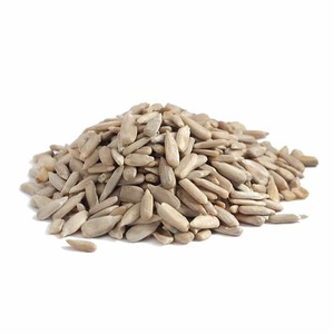 Semillas de Girasol con Alto Contenido de Aceite para la Industria de Procesamiento - Product Image 4
