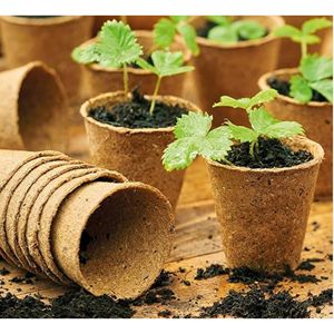 Eco Friendly Coconut Coir Plant Pot Natural Fiber Nursery <b>Container</b> for Sustainable Gardening and Wholesale Supply - Product Image 5