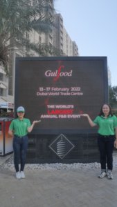 Green Apple Energy Drink 250 ml 8.5 floz J79 24 canettes carton peut Logo personnalisé OEM Marque privée Énergie naturelle prête à expédier - Product Image 4