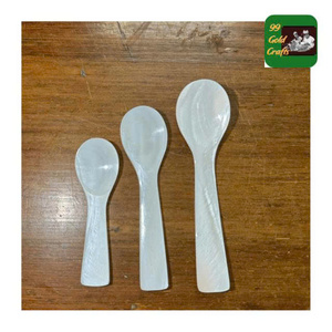 Seashell Spoon Handcrafted Seashell Spoon from Conch Mother of Pearl Ideal for Caviar Presentation Gourmet Dining Table - Product Image 6