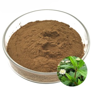 Poudre de feuilles de Bhringraj 100 % pure OEM/ODM – Poudre de soin capillaire à base de plantes Eclipta Prostrata de qualité supérieure pour le nettoyage du cuir chevelu et la nutrition des cheveux - Product Image 4
