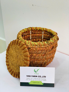 Macetas biodegradables de fibra de coco para plantas, vasos ecológicos de turba de coco para viveros, macetas de fibra natural para germinación de semillas - Product Image 6