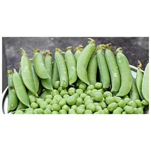 Precio de Fábrica al por Mayor y al por Menor de Guisantes Verdes Congelados, Precio de Vegetales Congelados - Product Image 6